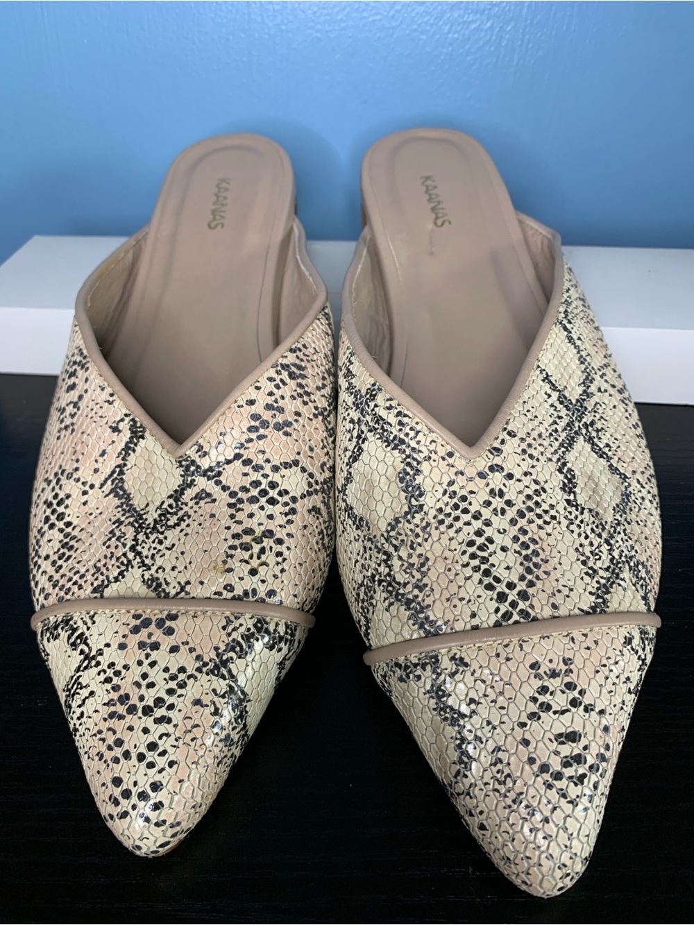 Kaanas Neutral Snake-Print Pointed Slip-On Mules